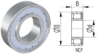Full-complement cylindrical roller bearings